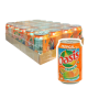 Oasis Tropical 33cl x 24